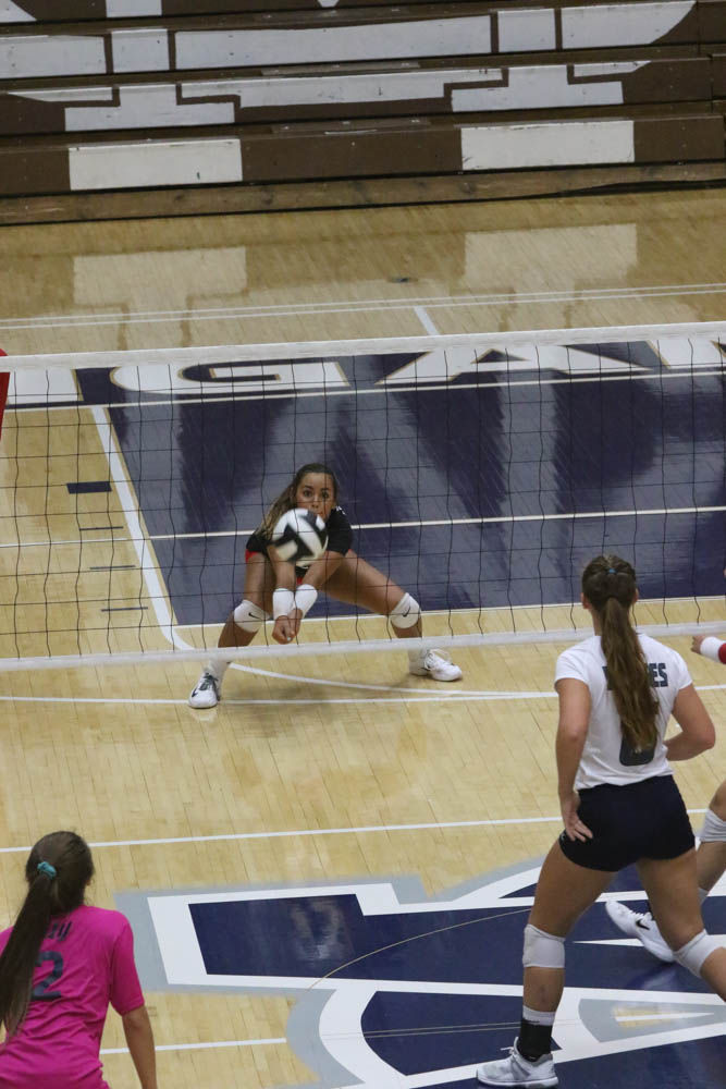 Gallery: Girls volleyball - Crown Point at Michigan City